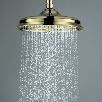 Antique design Sus304 shower head SHP0801