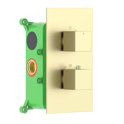 1-Function Concealed Thermostatic Shower Valve System with Rough-In Box VT0852101