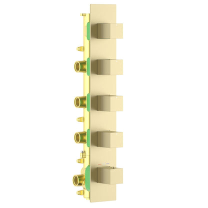 Aquavit Cube brushed gold 4 to 8 outlet thermostatic shower valve with continuous rectangular trim plate VT0875X02V