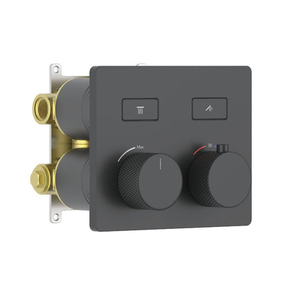 Aquavit B Series 2-Function Thermostatic Shower Valve VT08B4201