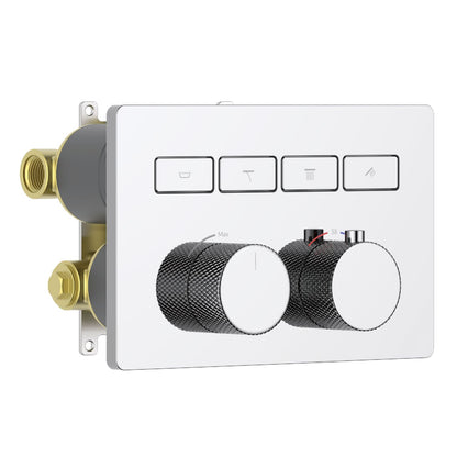 Aquavit B Series 4-Function Thermostatic Shower Valve VT08B6401