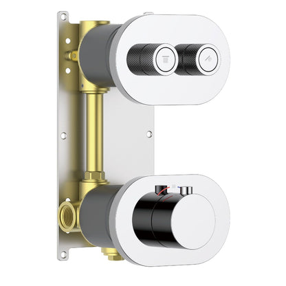 Aquavit A Series Thermostatic Shower Faucet with Push-Button Controls Dual Function VT10A3201