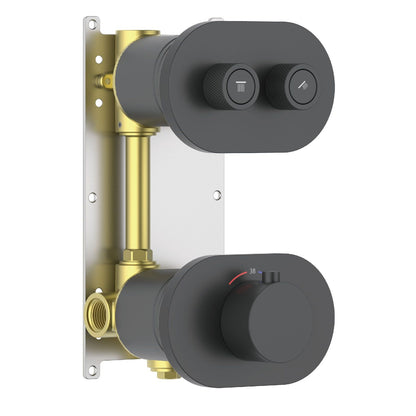 Aquavit A Series Thermostatic Shower Faucet with Push-Button Controls Dual Function VT10A3201