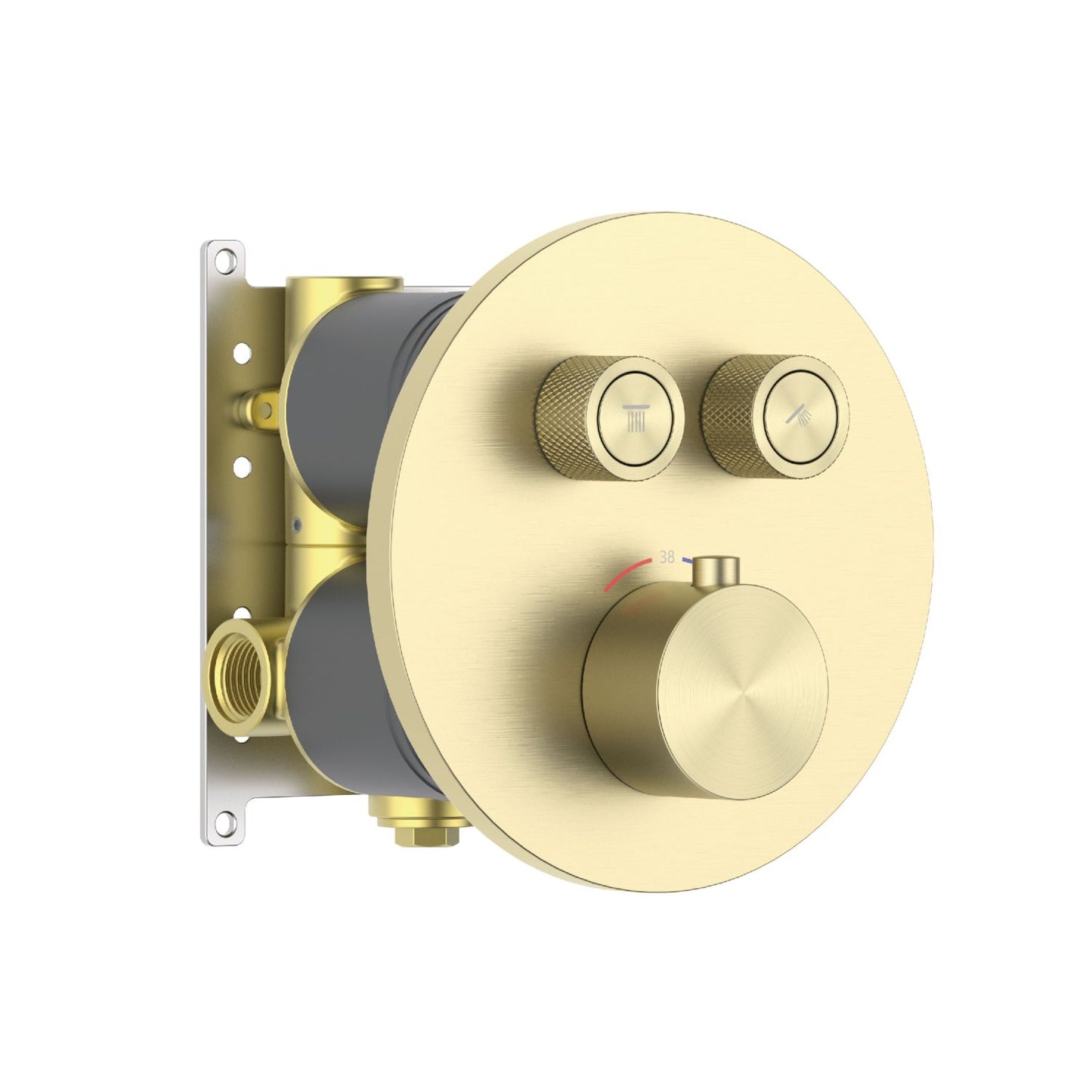 Aquavit C Series Thermostatic Shower Faucet with Push-Button Controls Dual Function VT10C3201