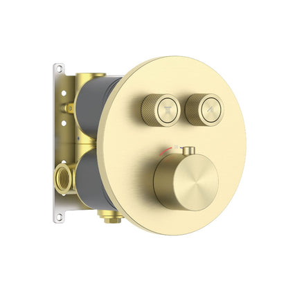 Aquavit C Series Thermostatic Shower Faucet with Push-Button Controls Dual Function VT10C3201