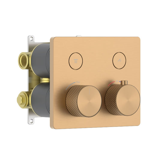 Aquavit B Series Luxury Dual-Function Thermostatic Mixer With 2 Outlet  VT12B4201