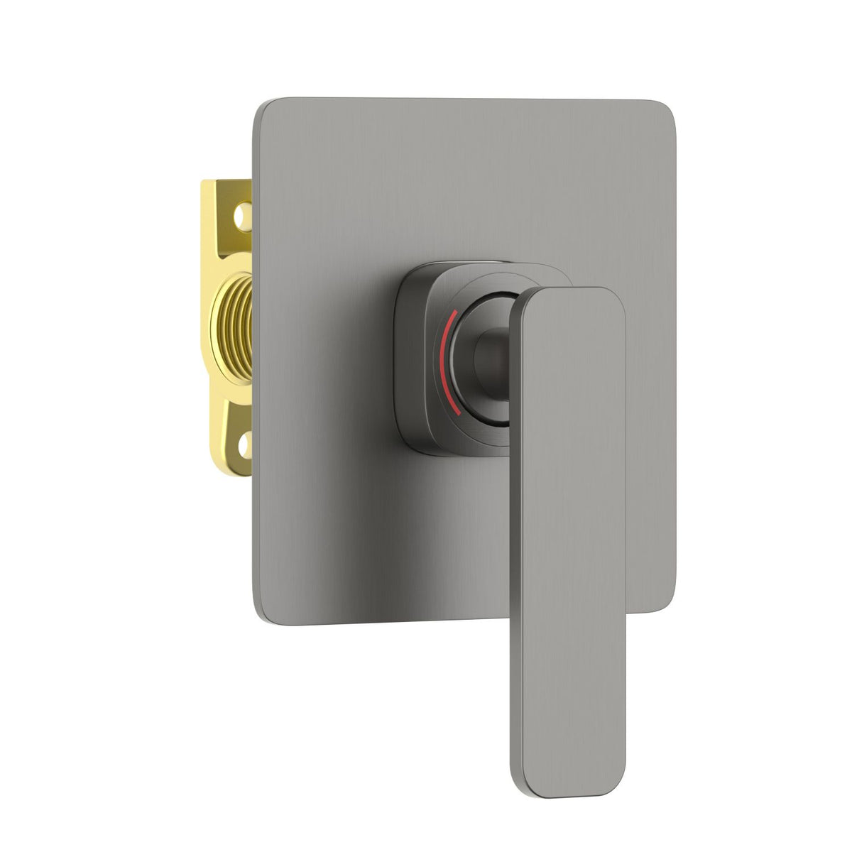 Aquavit Apple brushed gunmetal one-outlet concealed shower mixer VT2111102
