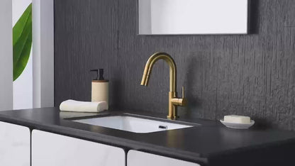 Aquavit Circular Series Pull Out Bathroom Faucet Magnetic Docking Lead Free Brass AT090811